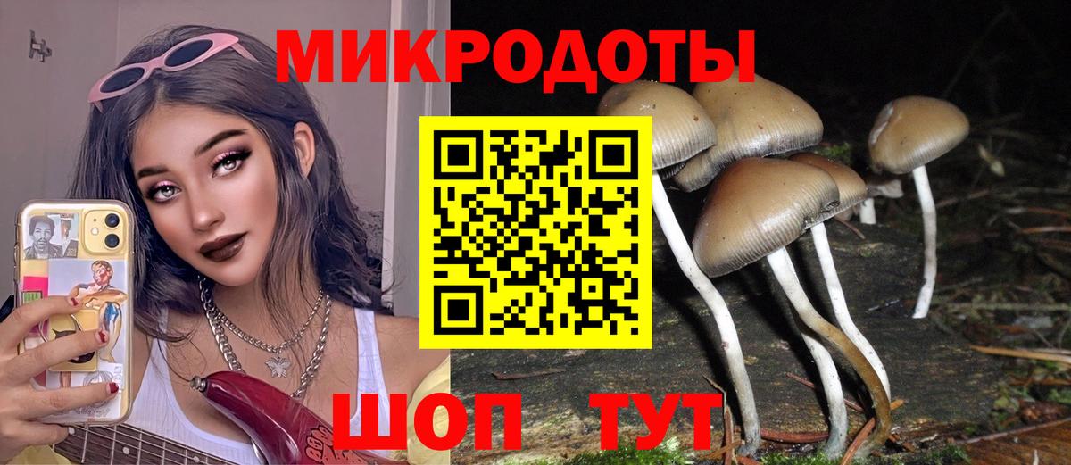 Галлюциногенные грибы Magic Shrooms Алейск