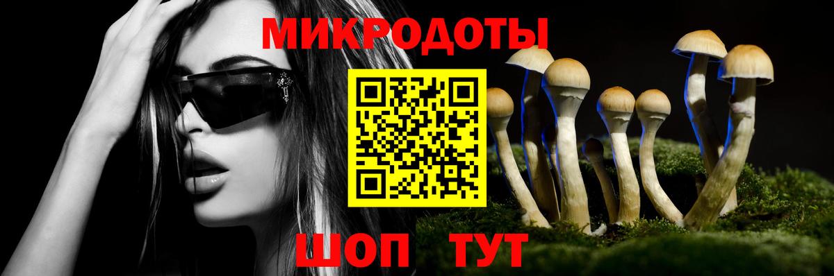 Алейск  Галлюциногенные грибы Psilocybe  Псилоцибиновые грибы прущие грибы  Вход с VPN 
